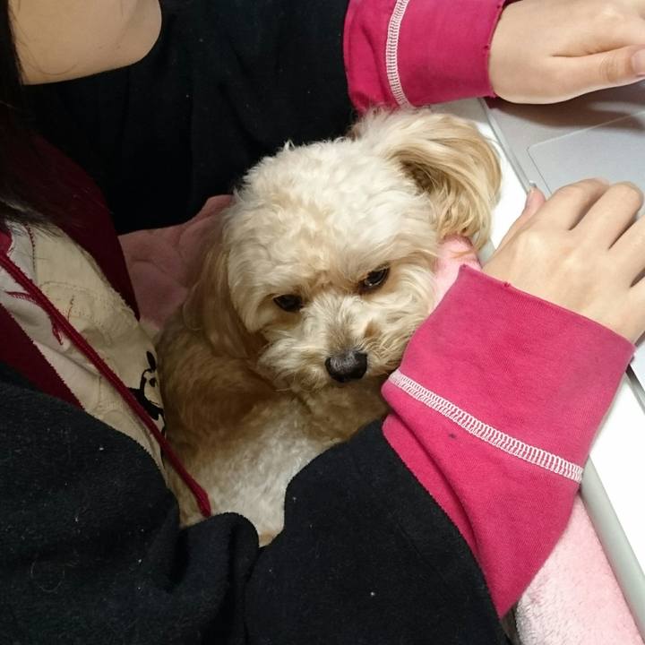 A6fc8756 97c6 420d b73f d8b16cecec87