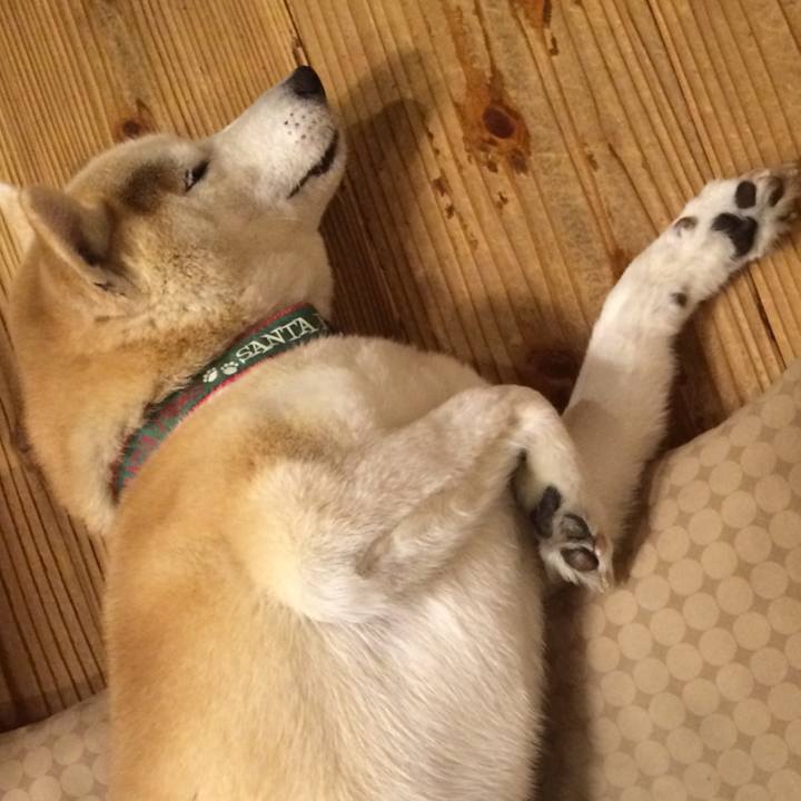 A6fcc8a0 8bfa 40eb a943 4791f6bb5343