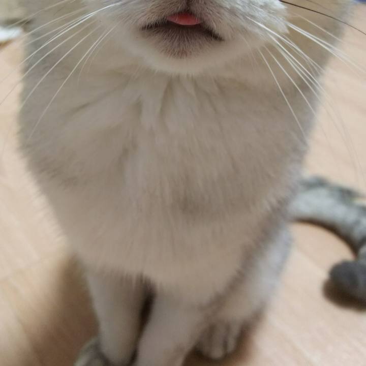 A6fd21fa e1c1 41f2 9ff8 e8a0f998670e