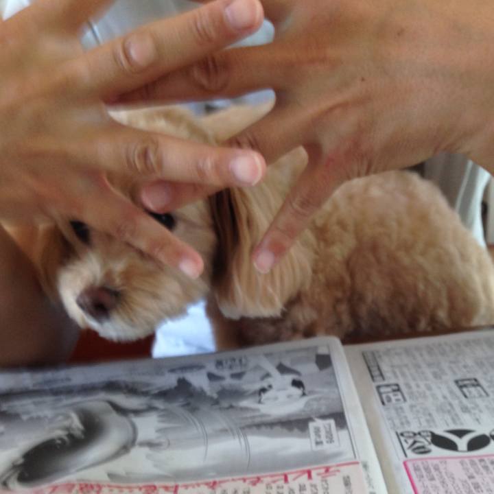 A6fda7c6 1508 43cc 86e9 d61b08c0e4bb