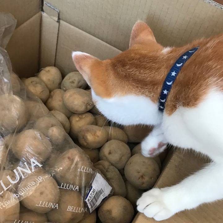 A6feff57 d68a 41b4 a86d ad325172eade