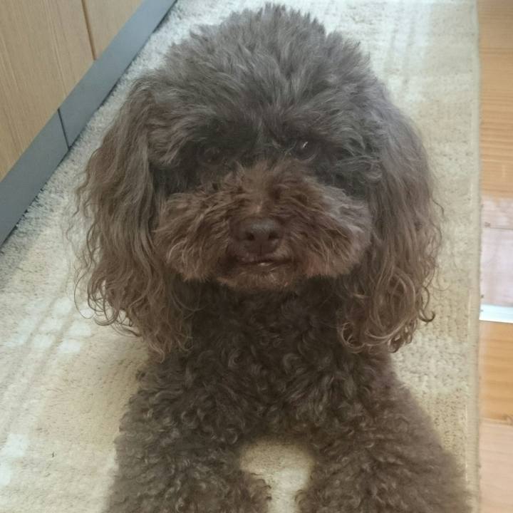 A7001e5c 9933 43b1 9c38 0bde66662b29