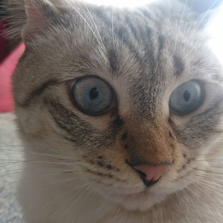 A700fd1d 372c 4849 a71d 3080d1f4149c