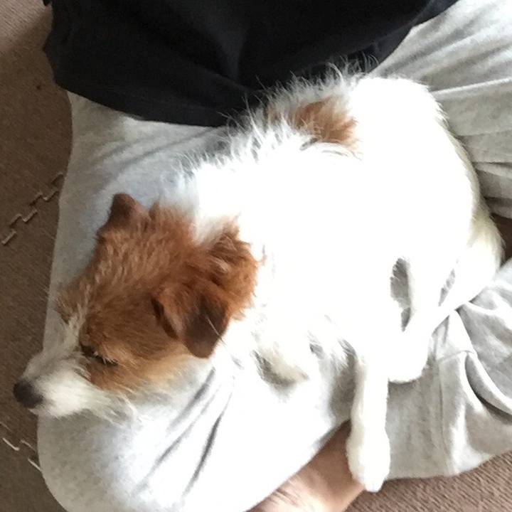 A7012c1f 1315 4f38 bf06 93b7d530761b