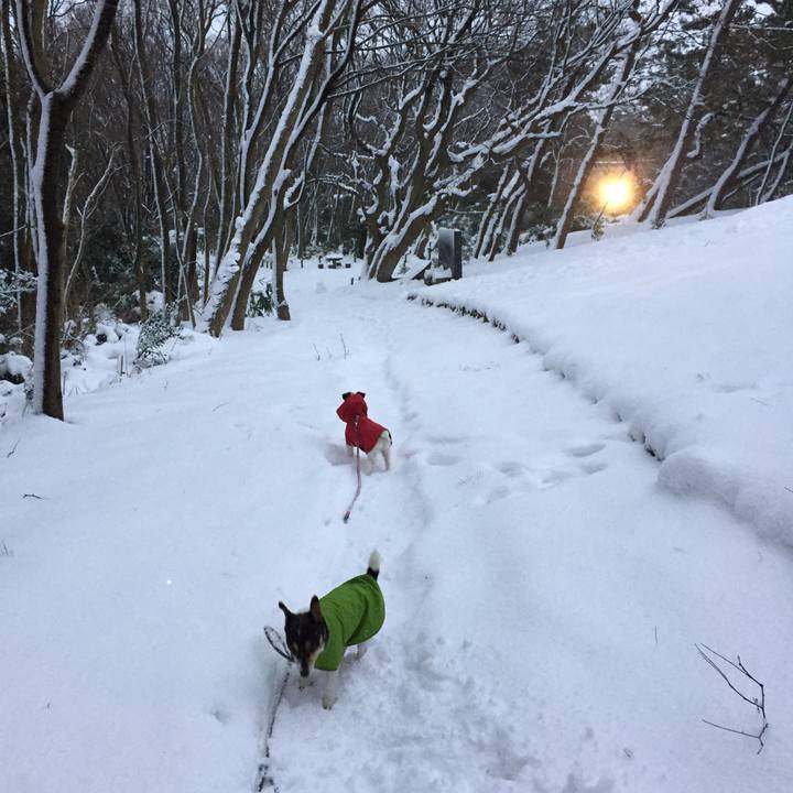 A701647f 1a6c 4b07 ab54 808b53889047