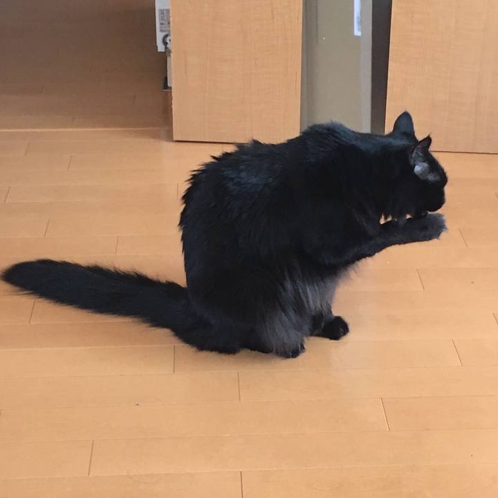 A701944d 8584 4b80 b9fd 7ce49318535b