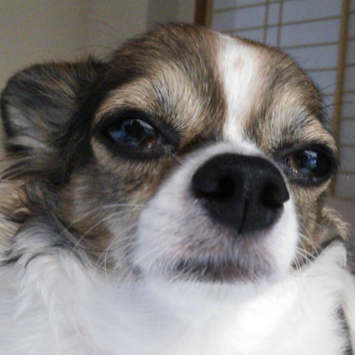 A70229fe 96b0 417a a6e4 5b1094b1c7f0