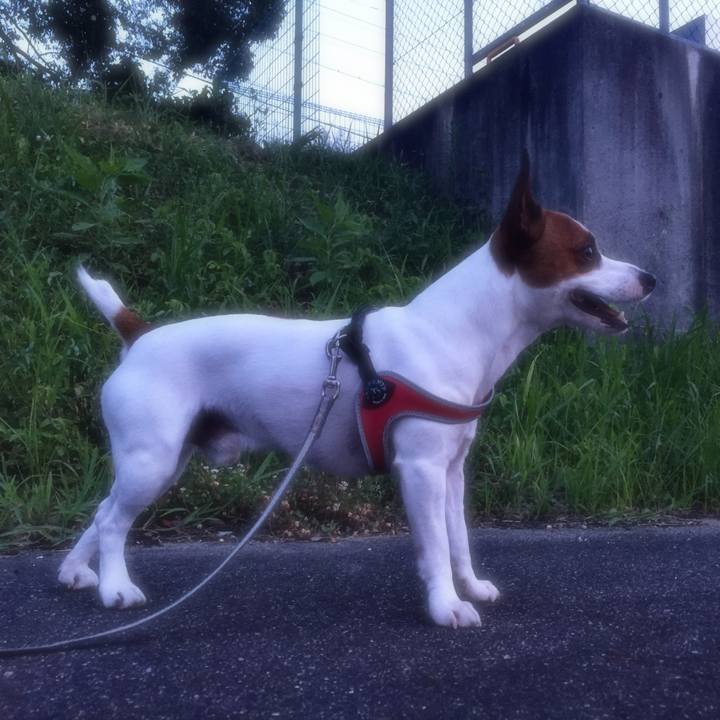 A7033276 c40b 44f1 8c86 ca0b6bd265c8