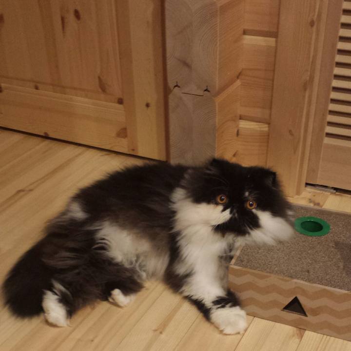 A703892f 25a2 46e3 90d9 2e22cd3e0010