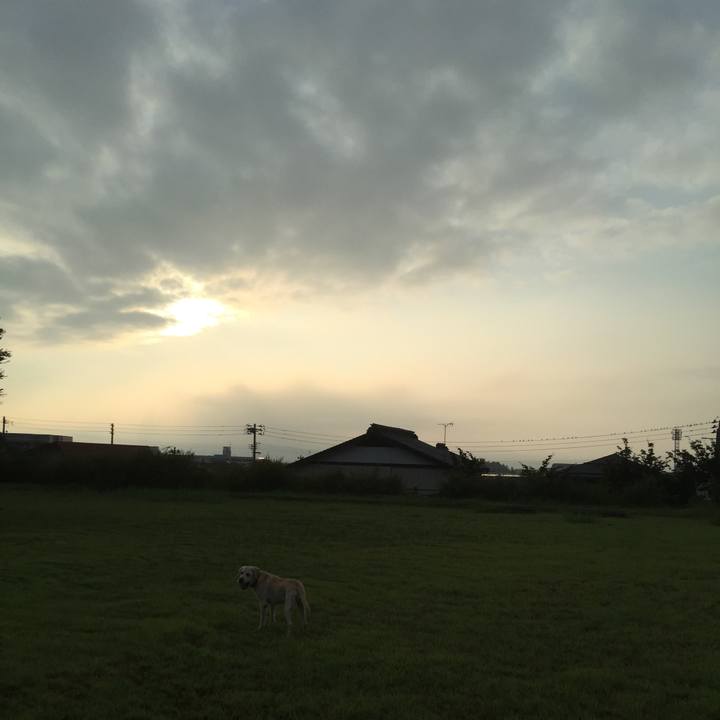 A703c517 6648 467c aee0 6e9d32ec00ed