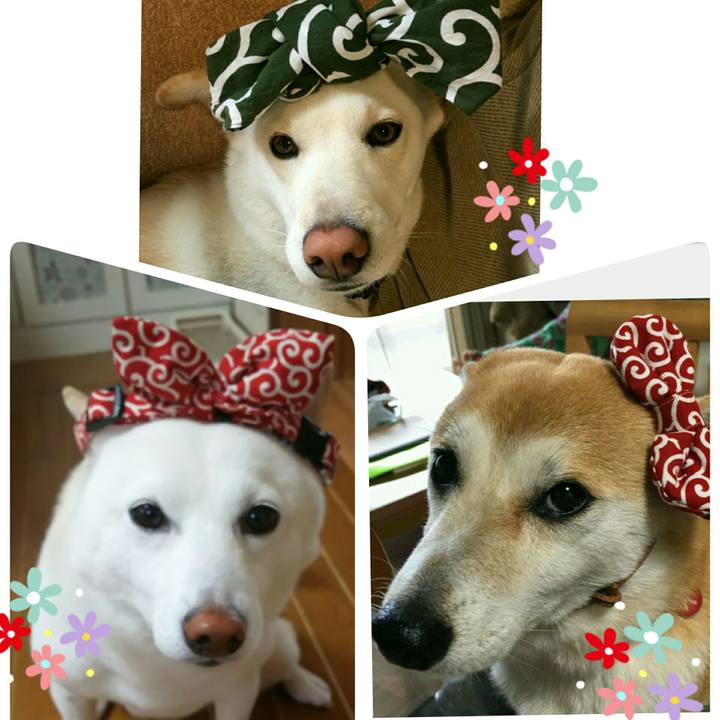 A703cfe8 09cb 4a7a b589 42b3c0cd4bdd