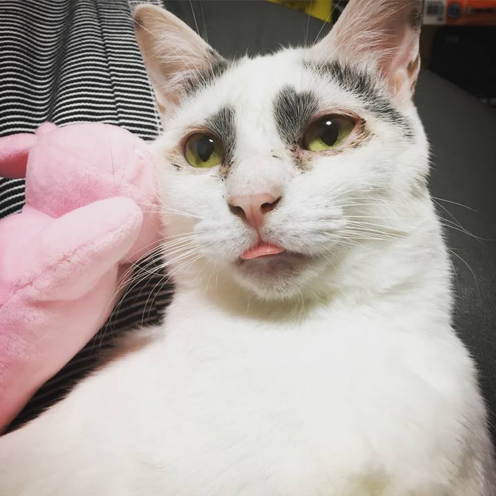 A703dc05 3ece 441e 949f 872effff059a