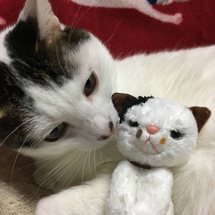 A703ecc7 1815 44e9 8ba8 1c1e04ef3ee1