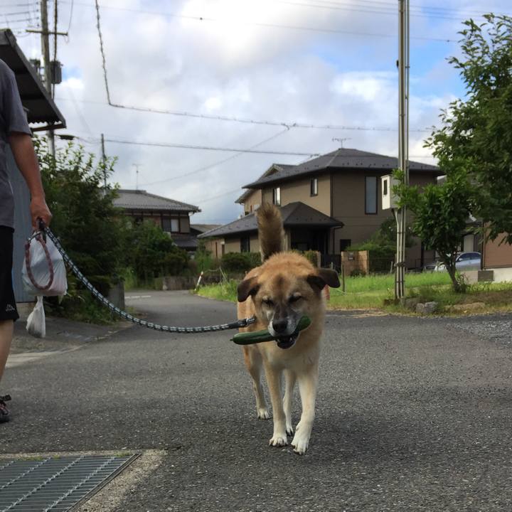 A703f841 2260 4afe 8688 699dc48fdbee