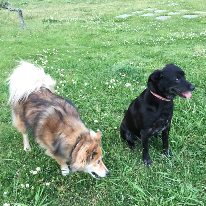 A703fd05 bc72 4264 af01 a1a453b1c397