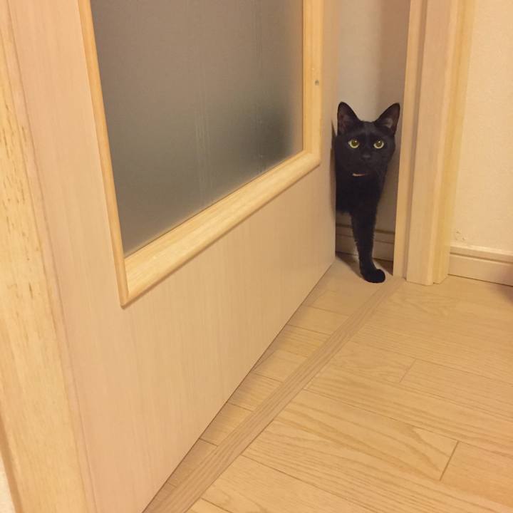 A704dbb5 3204 4ea2 b799 8baaf94b541c