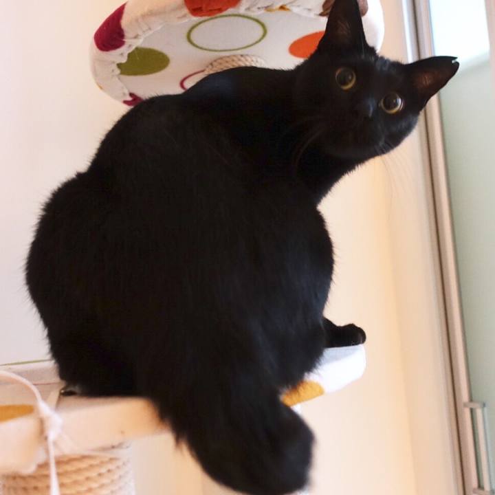 A704de33 99ed 4785 888c 0dbf263fb164