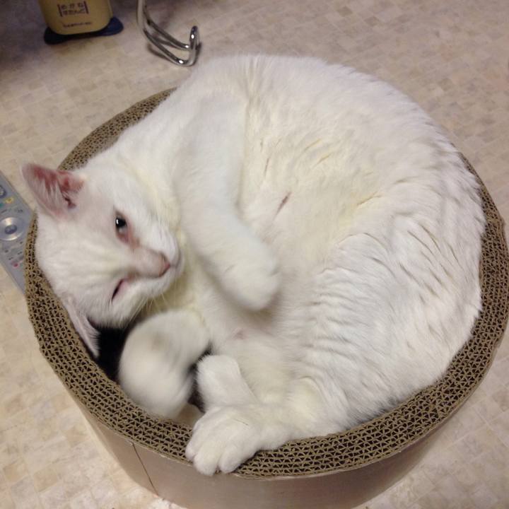 A706cf77 e2ff 49fb 8f2a b6508b1202f9