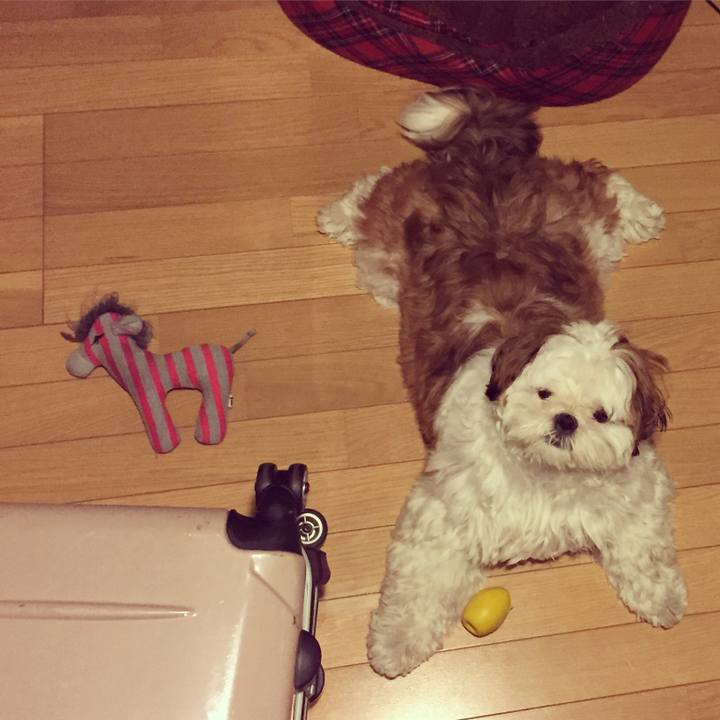 A70777db aae4 431d bc74 561dea5a34db