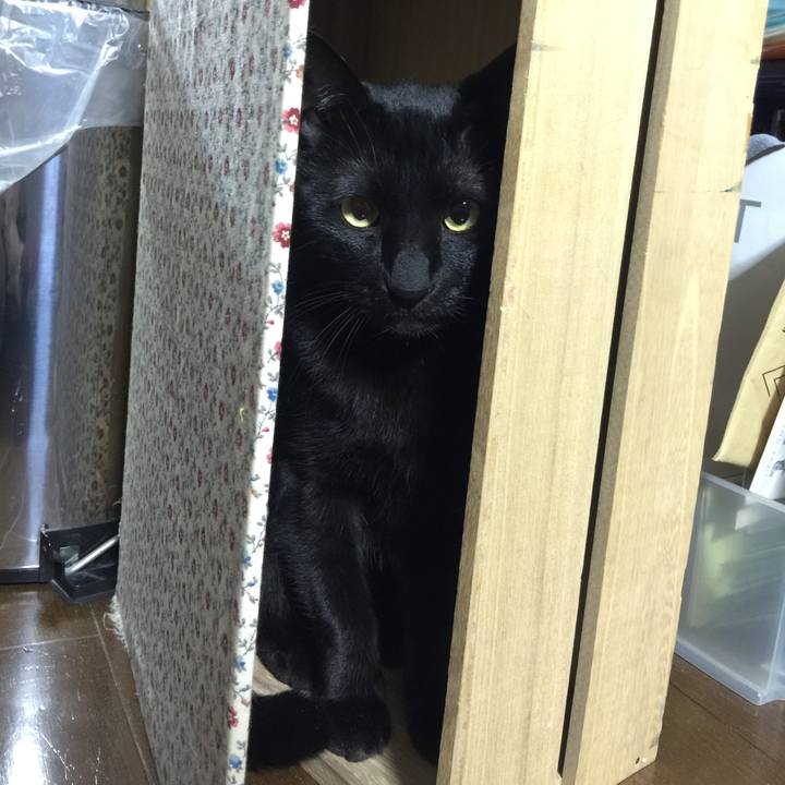 A7085983 4072 4980 ae21 59e7a1b92590