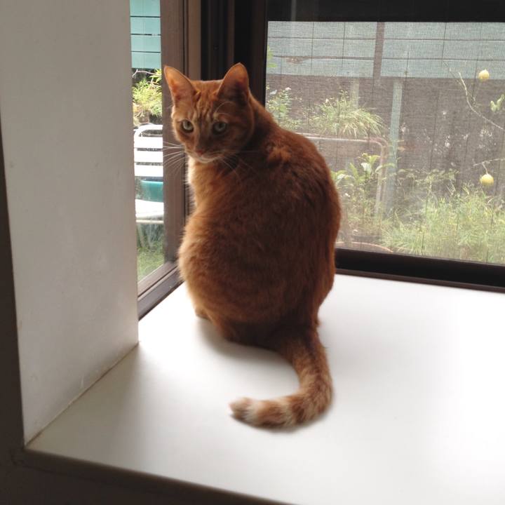 A708815d 5c96 4699 a042 569ed4592542