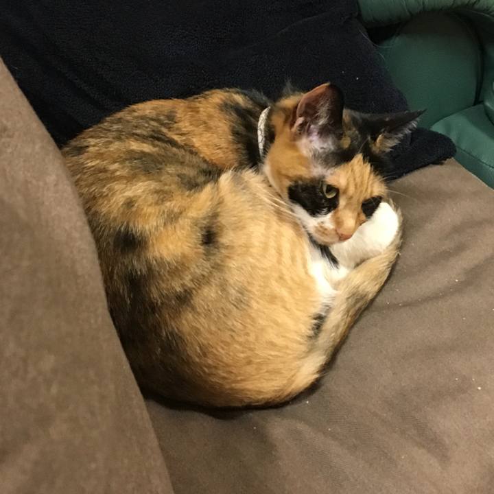 A7088272 c102 4617 8193 bf932032a8fa