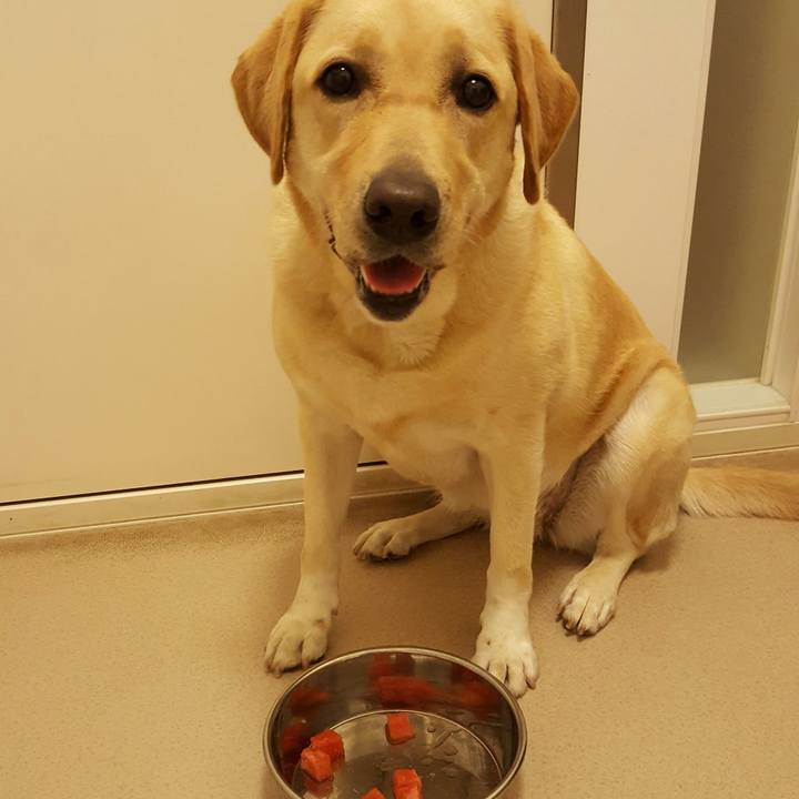 A708c1d1 6c23 44ce 8607 035b2651b503