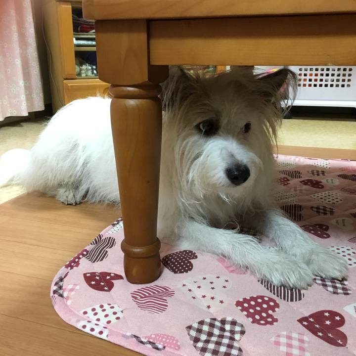 A708dbf5 81f8 4866 a26d 10c6e6516cc6