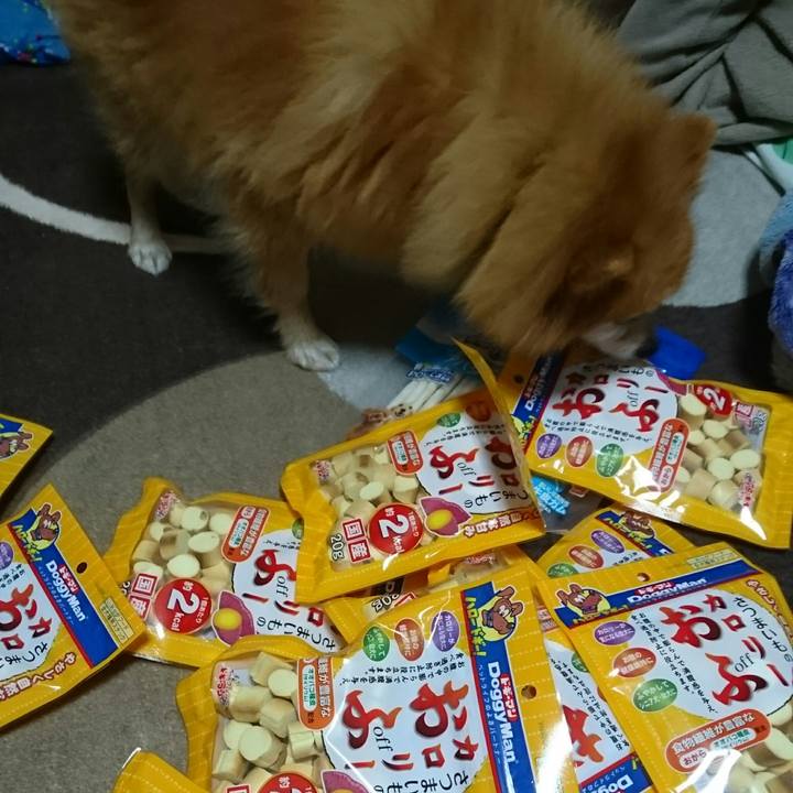 A7090699 0ca1 467d 8bad 14151dcc1635