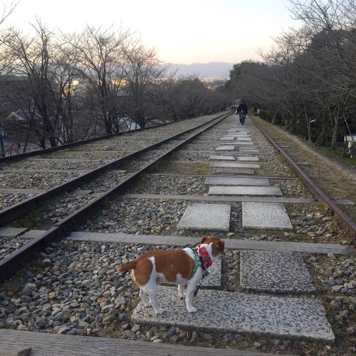 A70ad77e 8164 4859 93bf f16ade5e34da