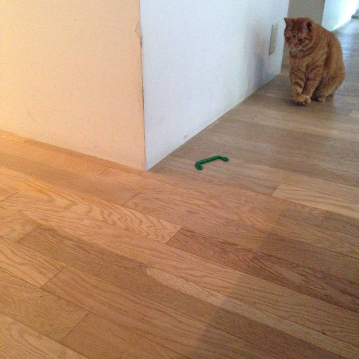 A70ba7bf e1c3 4bd7 9248 fb2e74cd37e9