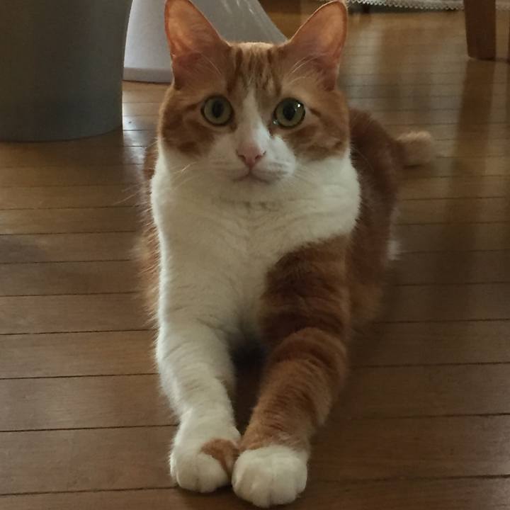 A70c47ec 64f2 4e66 803e 85a9e50b8301