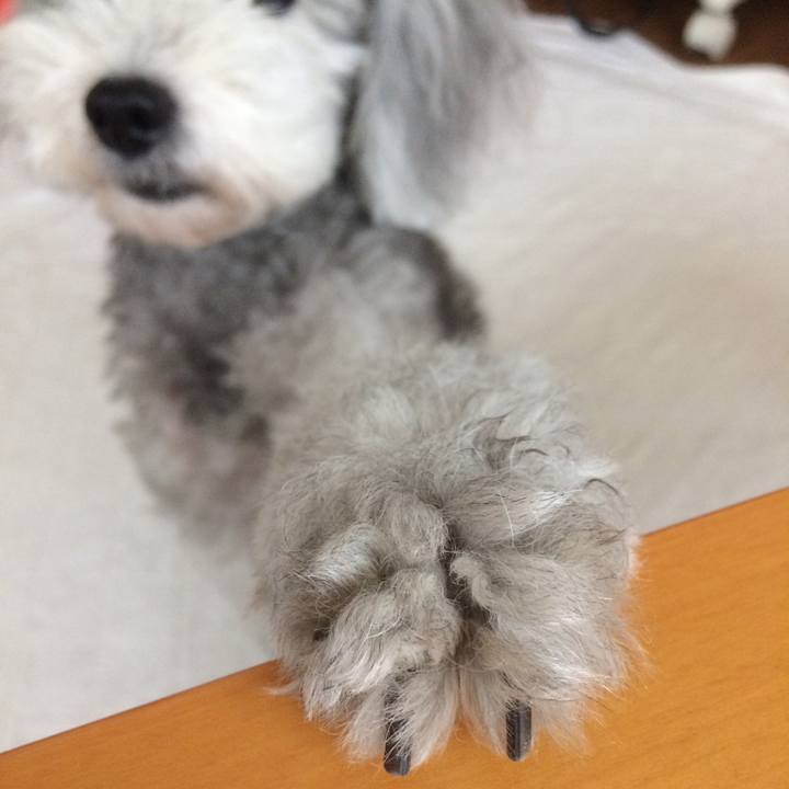 A70c5d21 b75c 4e74 9605 7940c1238cf3