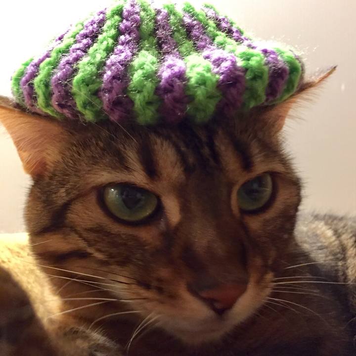 A70c83b1 1534 4acb 9e8b e4dadaadc967