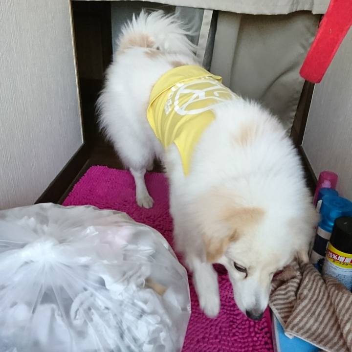 A70c83f9 af5c 49e0 92f3 ec15b86a3289