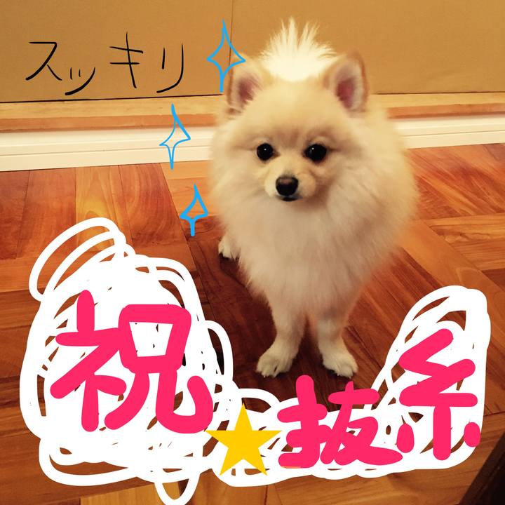 A70ccc49 a6f2 4a30 9ce6 ce9f3e276e26