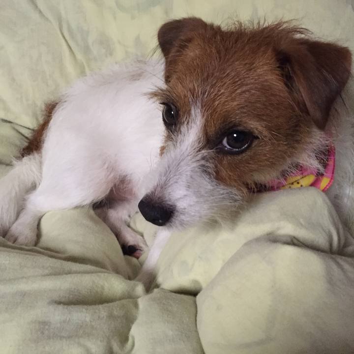 A70d0661 dfe8 4aa8 b922 72ef2cc477c8