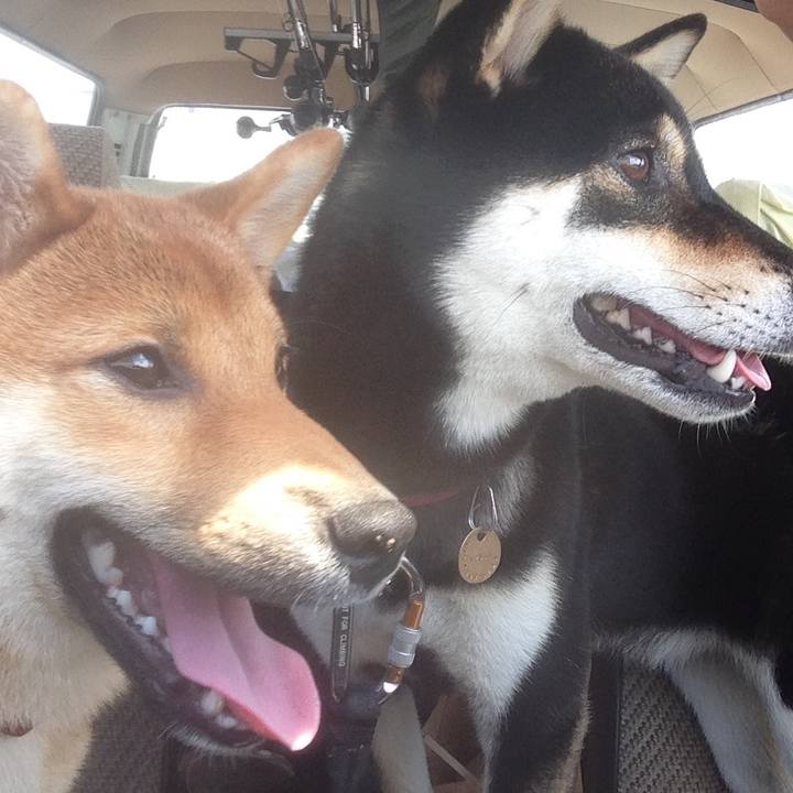 A70ee448 5839 4f1d 9c7d 6b894f183c73