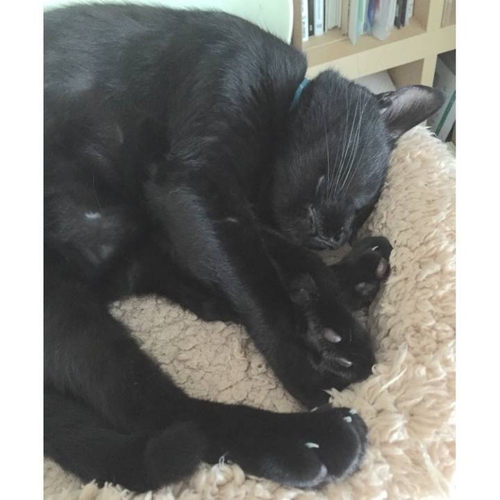 A70fb0f1 9a2b 451d a720 2490de4debc4