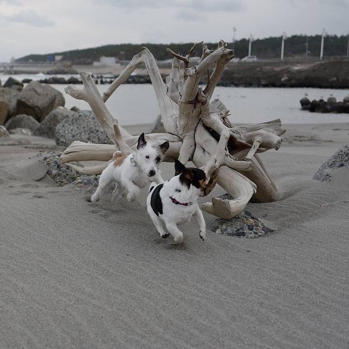 A710296d 5c10 4806 bc95 b25236ddb65d