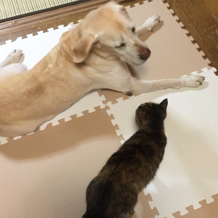 A7102abb f27b 4eb7 8bdb 08a46a1d36a5