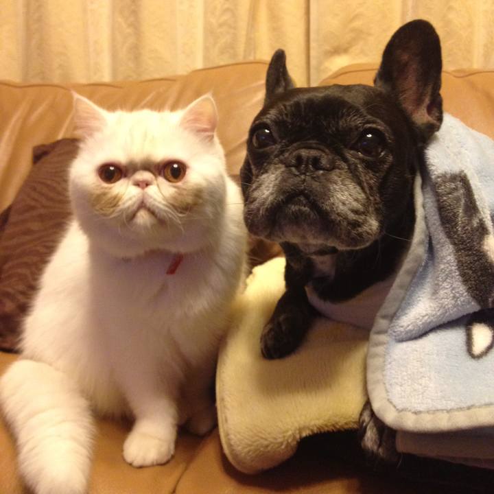 A710b5de 327c 4c6a 8d50 55581a2fddc2