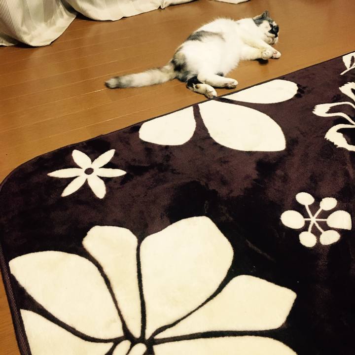 A710d01b f191 43c5 bb06 a59c5fed5f1f