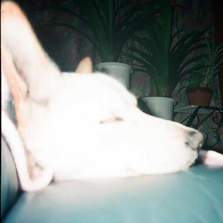 A710fd71 b631 4f62 8626 65b02f3aa9ab