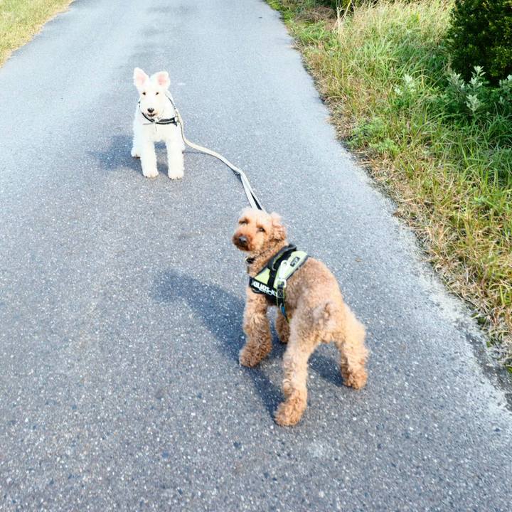 A7112647 5bb4 4f2d 82d4 3fbdd330ba7a