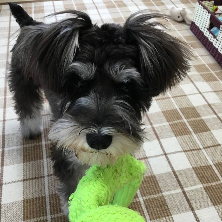 A7115a60 57d8 440d 8330 5160e31d7819