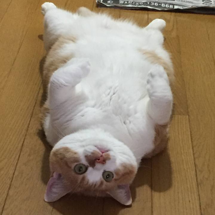 A7119a4b 3890 4383 b3d5 05631f850ba7