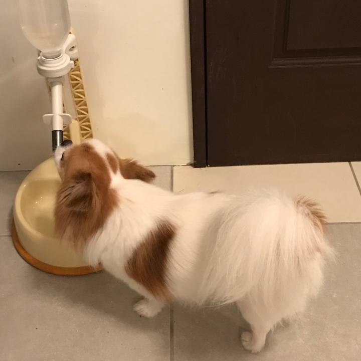 A7125995 8aa2 48f6 af29 c687b32b5352