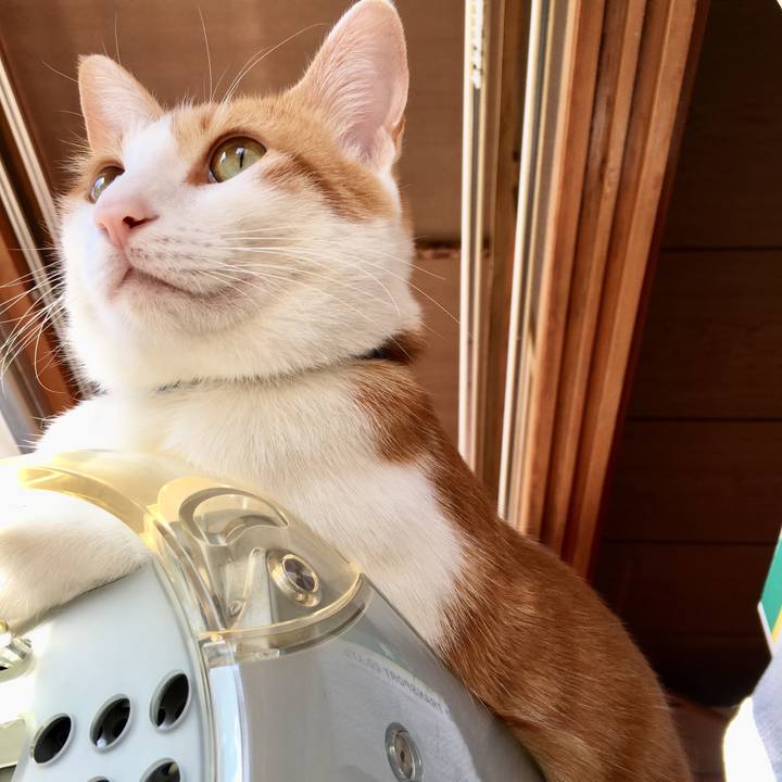 A712db30 4cdf 4880 ab7c 66f0cd59c15d