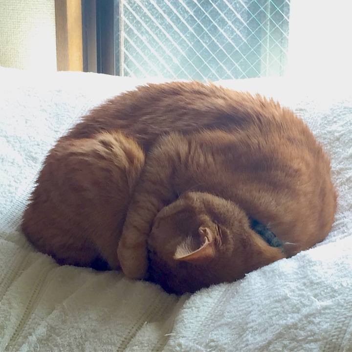 A712e2cd 8ebd 4b7e ba83 f79d3eeb90cb